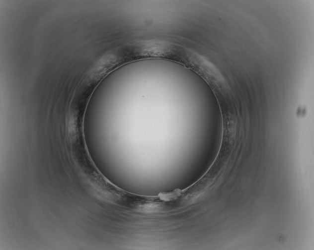X0000097510312200802221513