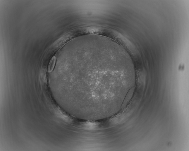 X0000097510313200802221513