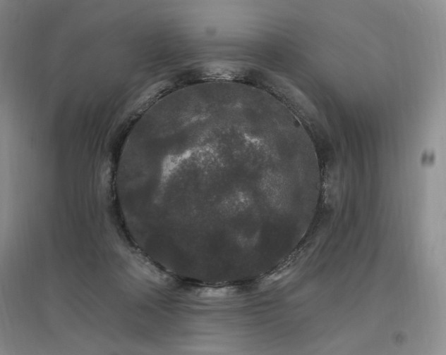 X0000097510314200802221513