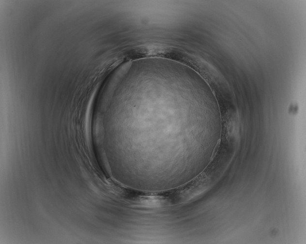 X0000097510316200802221513