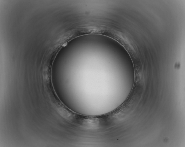 X0000097510317200802221513