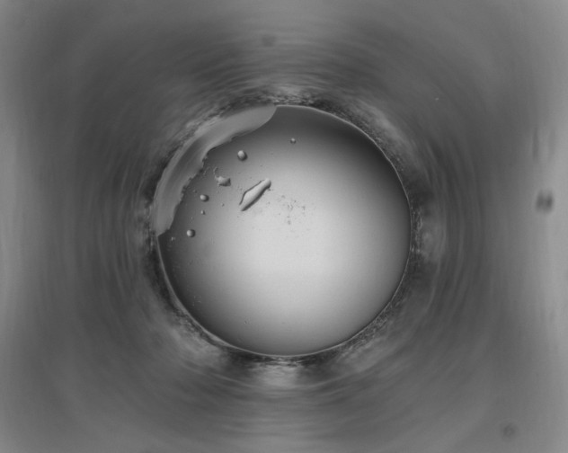 X0000097510318200802221513