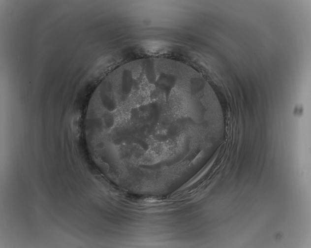 X0000097510319200802221513