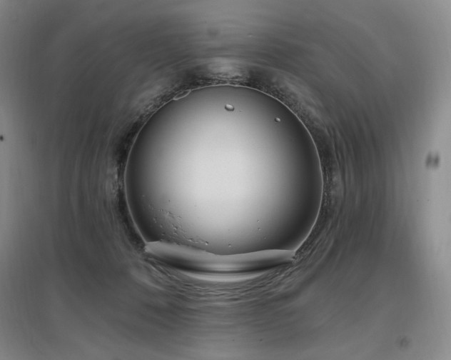 X0000097510320200802221513