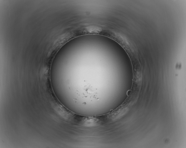 X0000097510321200802221513