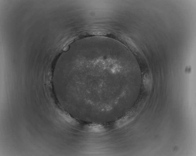 X0000097510322200802221513
