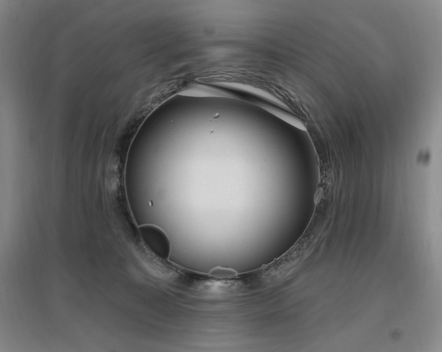X0000097510323200802221513