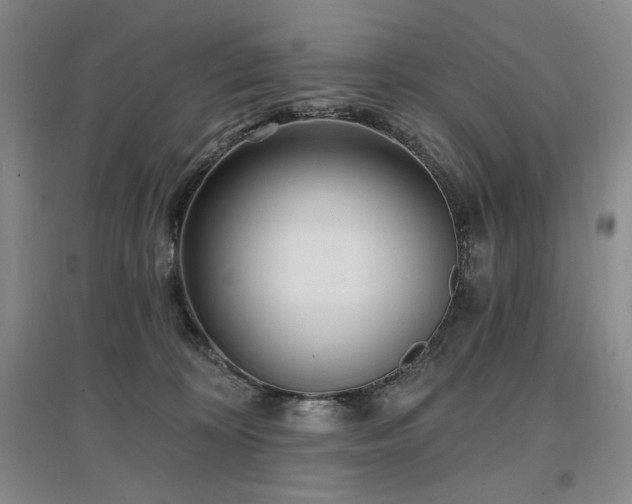 X0000097510324200802221513