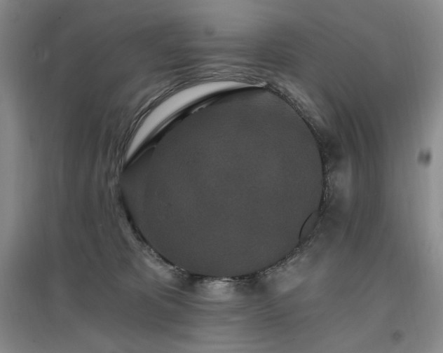 X0000097510325200802221513