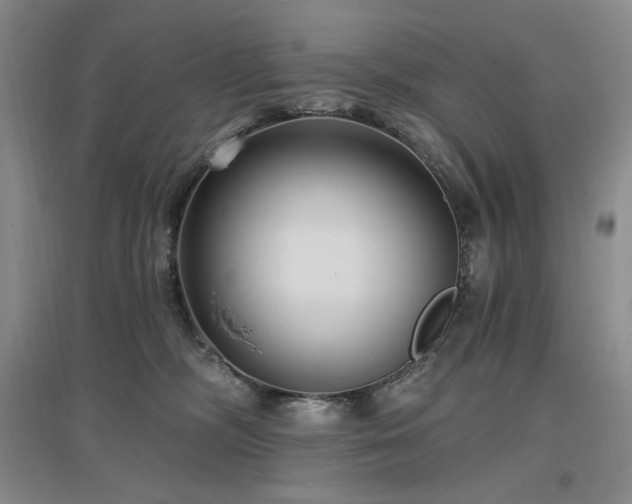 X0000097510326200802221513