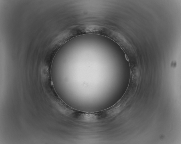 X0000097510327200802221513