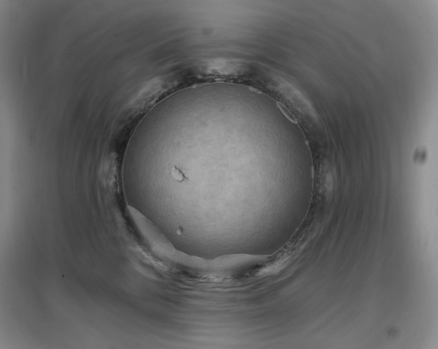 X0000097510328200802221513
