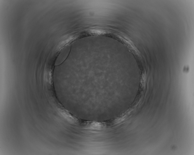 X0000097510330200802221513