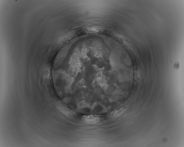 X0000097510331200802221513