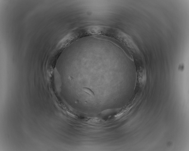 X0000097510332200802221513