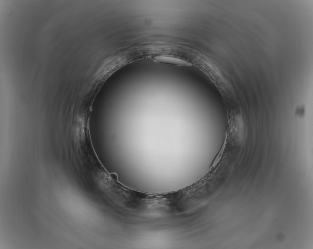 X0000097510333200802221513