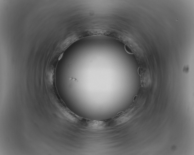 X0000097510334200802221513