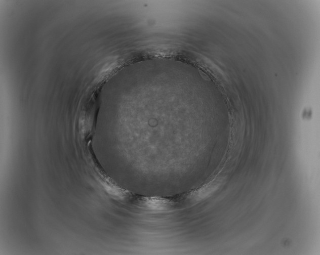 X0000097510336200802221513