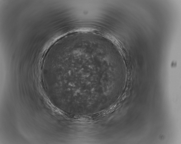 X0000097510337200802221512