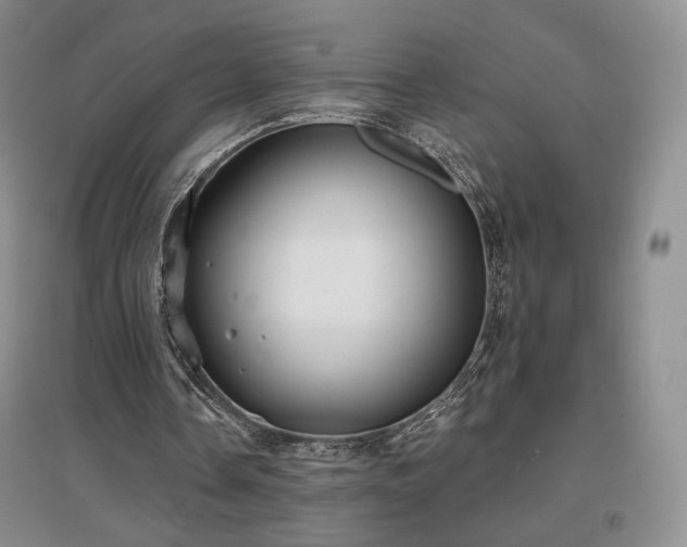 X0000097510338200802221512