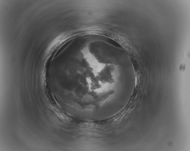 X0000097510339200802221512