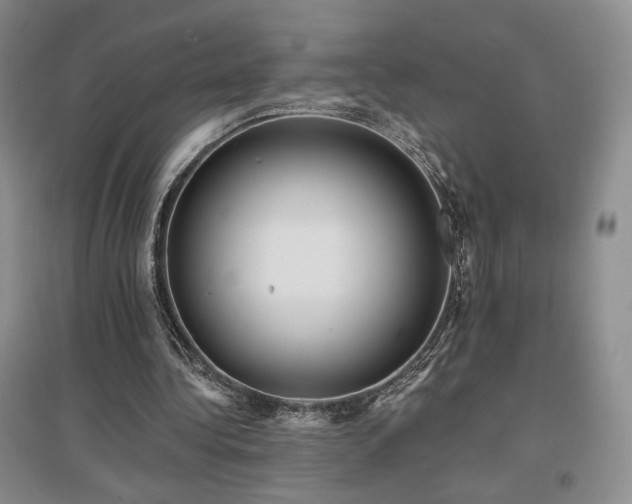 X0000097510340200802221512