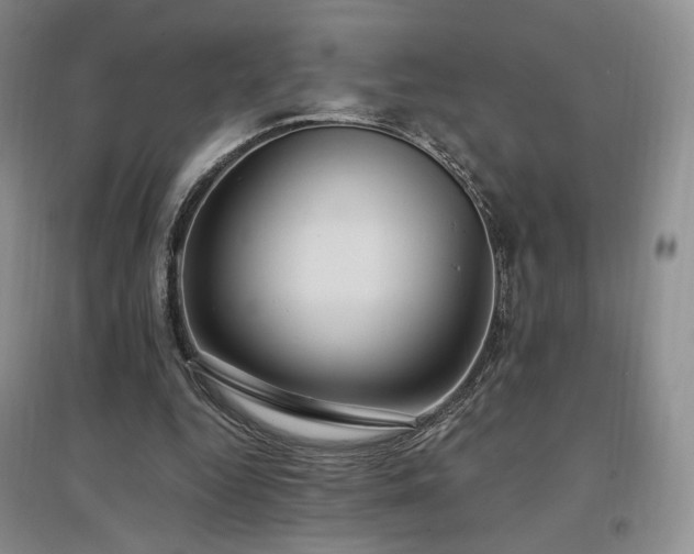 X0000097510344200802221512