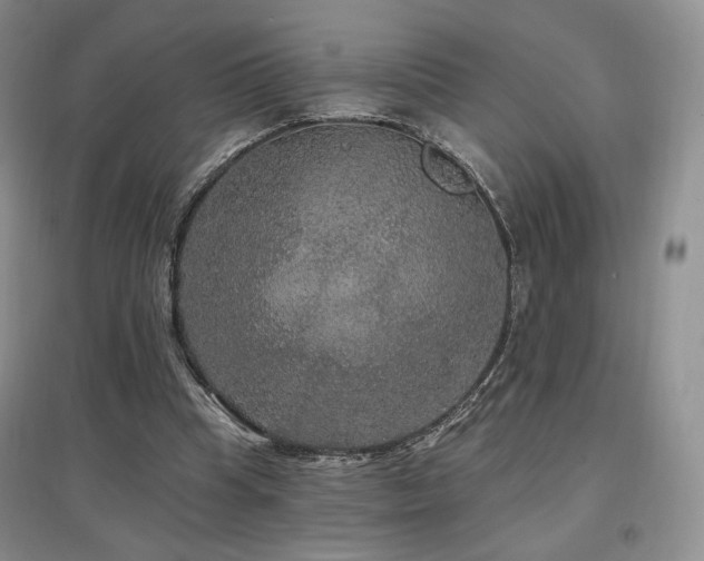 X0000097510345200802221512
