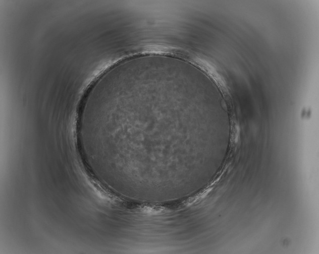 X0000097510346200802221512