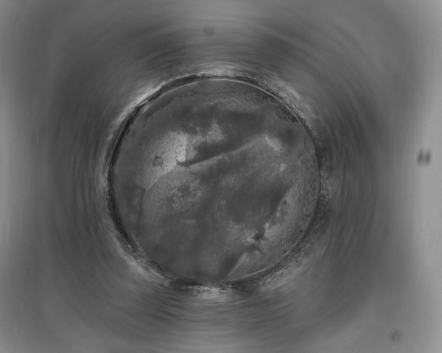 X0000097510347200802221512