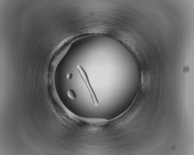 X0000097510348200802221512