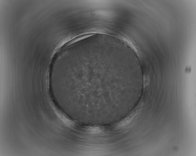 X0000097510349200802221512
