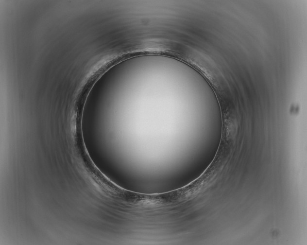 X0000097510350200802221512