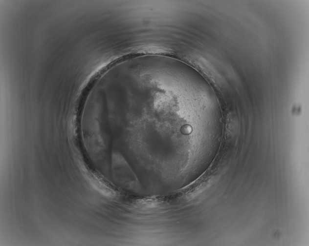 X0000097510351200802221512
