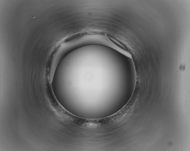 X0000097510352200802221512