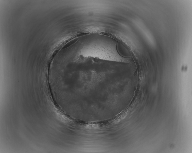 X0000097510353200802221512