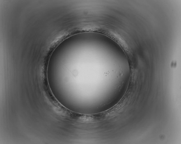 X0000097510354200802221512