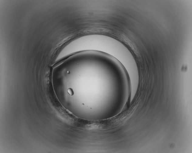 X0000097510356200802221512