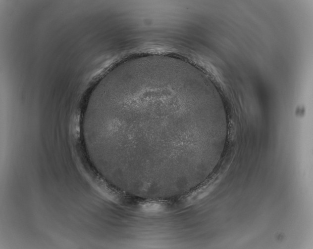 X0000097510358200802221512