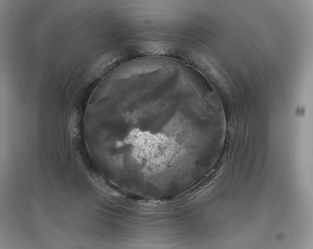 X0000097510359200802221512