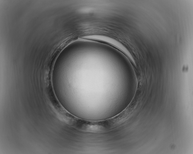 X0000097510360200802221512