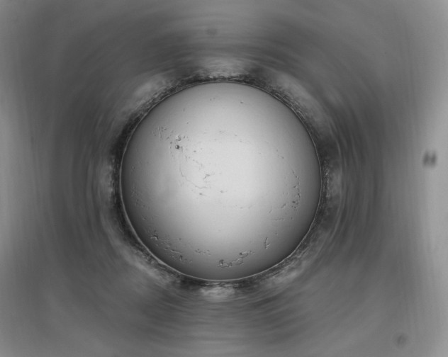 X0000097510362200802221512