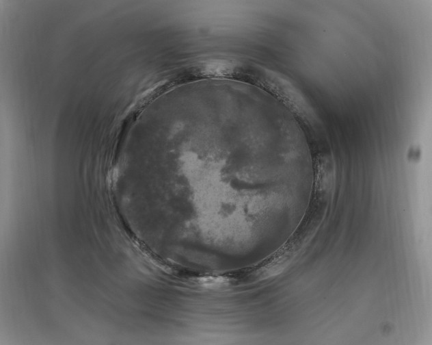 X0000097510363200802221512