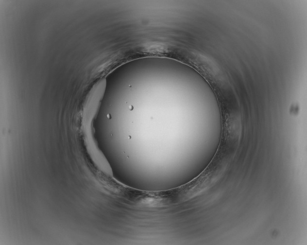 X0000097510364200802221512