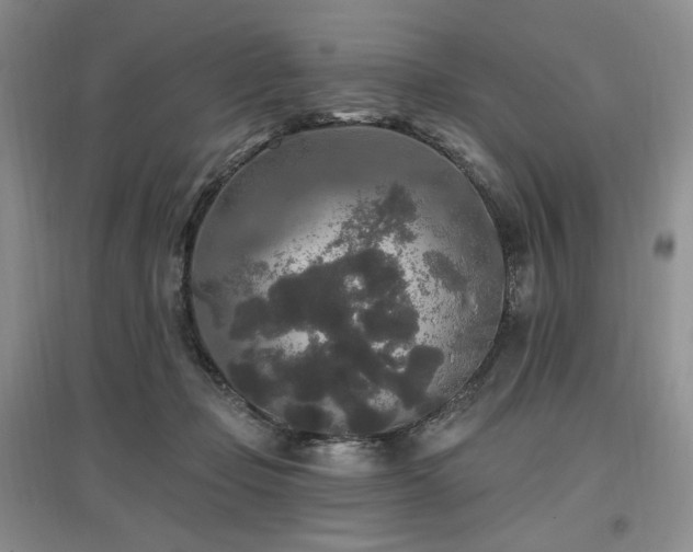 X0000097510365200802221512