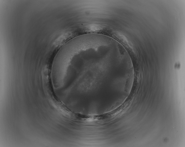 X0000097510366200802221512