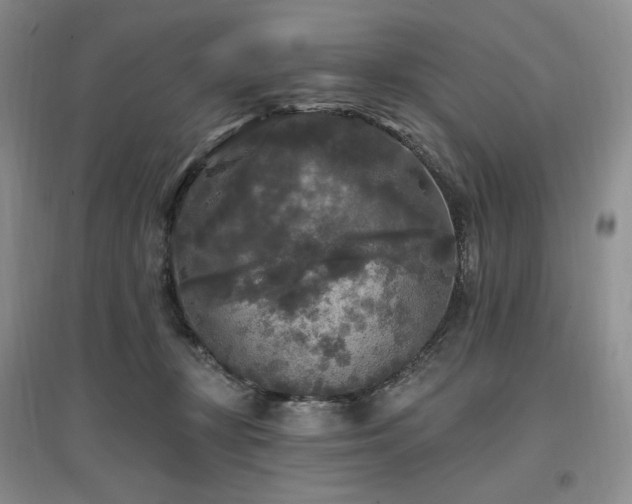 X0000097510367200802221512