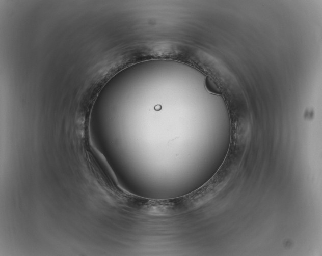 X0000097510368200802221512