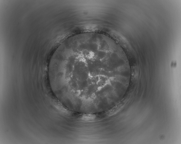 X0000097510369200802221512