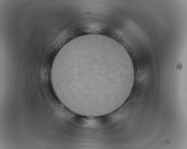 X0000097510370200802221512
